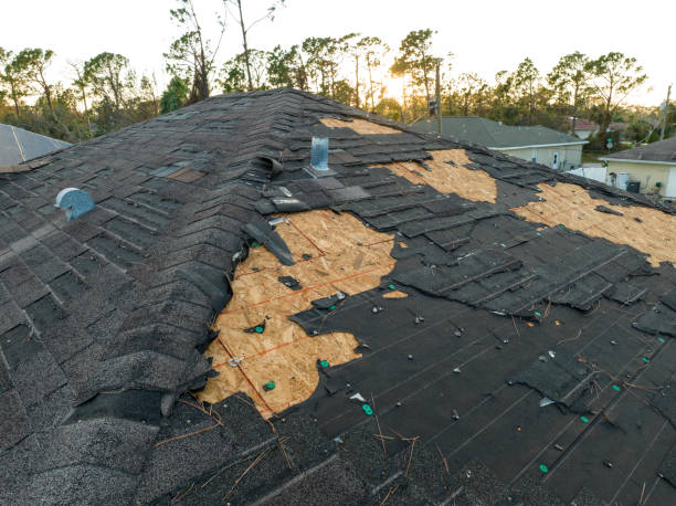 Best Chimney Flashing Repair  in Woodlake, CA